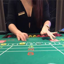Live Three Card Poker dealer studio on data taiwan mobile app showing multi-camera HD feed of card table